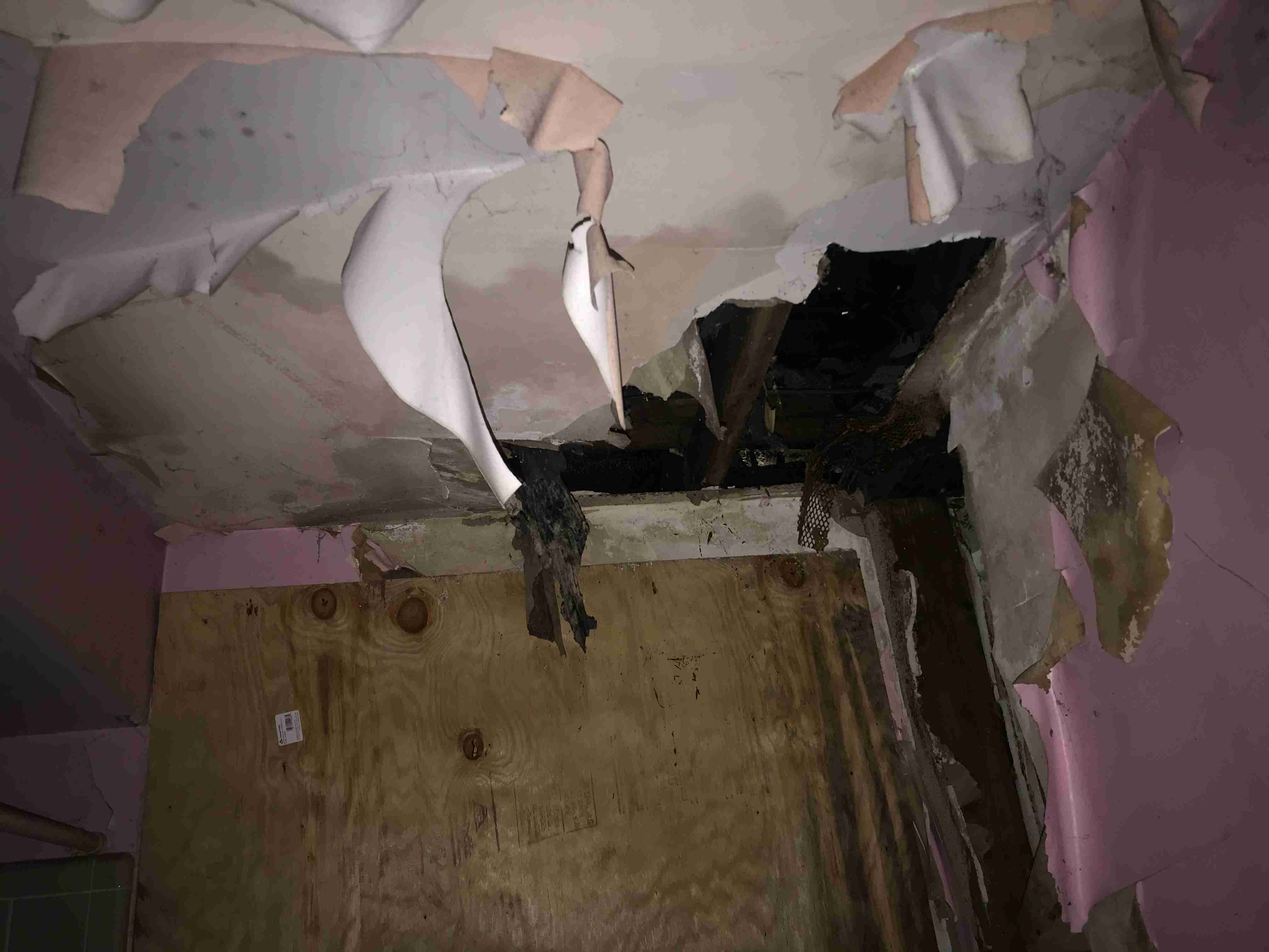 Photo Aug 21, 1 29 27 PM.jpg